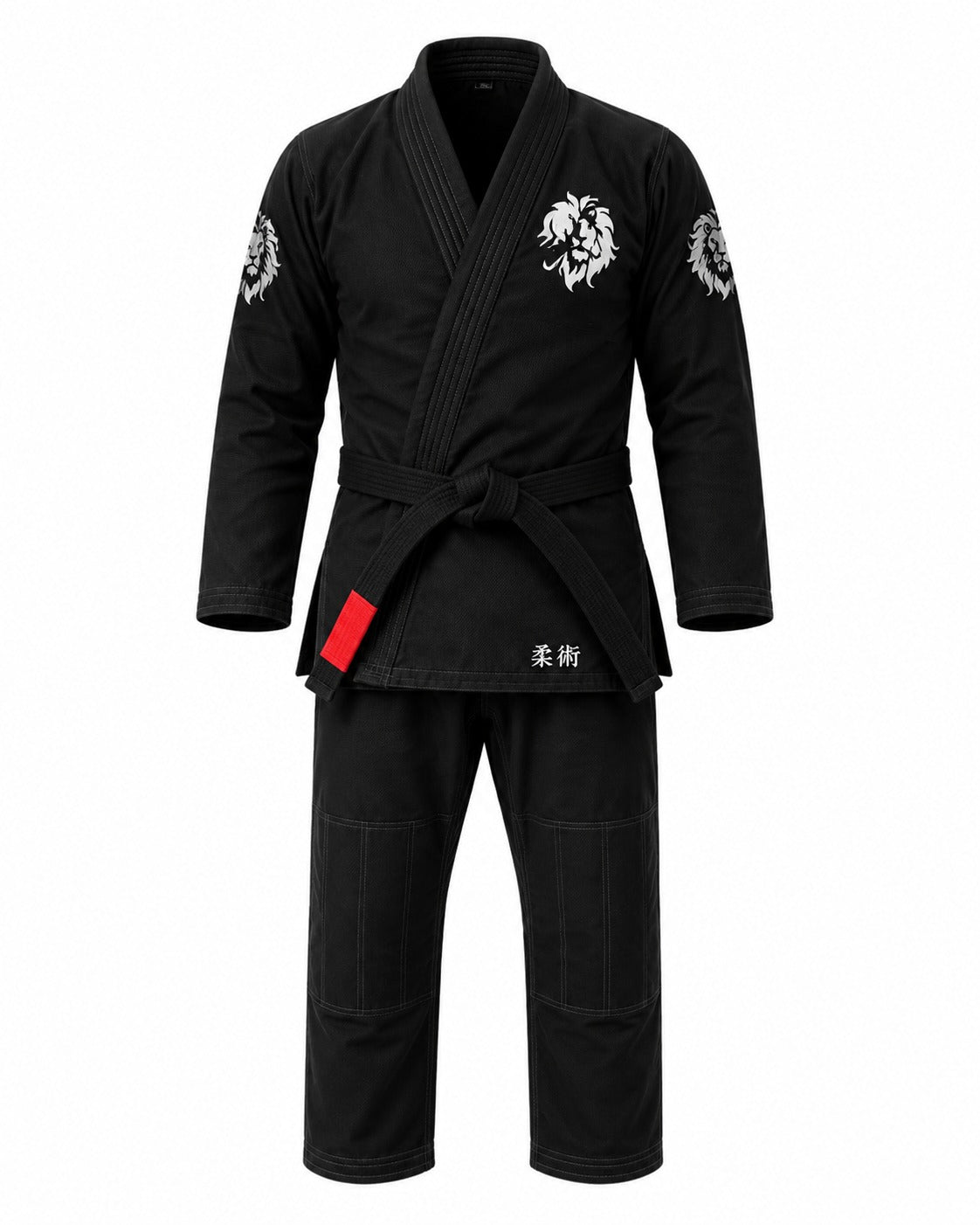 BJJ 01