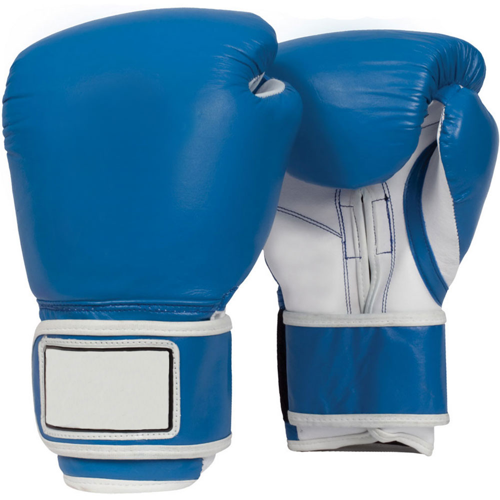 Boxing Training Gloves